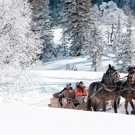 乌尔比斯古特酒店 4*